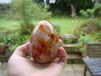 Carnelian egg (111247)