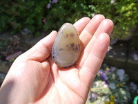 Dendritic Agate (111875)