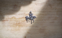 Fairy riding Unicorn pendant (112862)