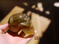 AA Golden Fluorite skull "Kut" (113088)