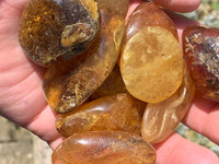 Amber polished pieces (116056)