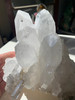 Image 14