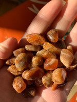 Orange Garnet tumblestones (117203)