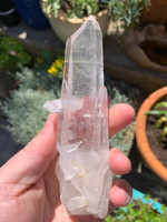Lemurian seed crystal (117562)