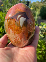 Picture Jasper (1112501)