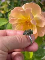 Moldavite ring (1112706)