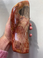 Picture Jasper (1112813)