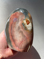 Picture Jasper (1112818)