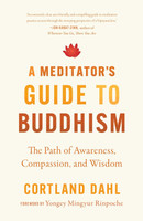 a Meditators Guide to Buddhism (1114093)