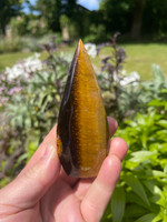 Gold Tigers Eye (1114221)