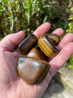 Golden Tigers eye tumblestones extra large (1114403)