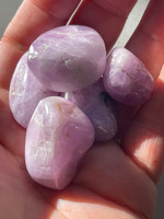 Kunzite polished pieces (1114606)
