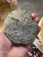 Pyrite Flower (1114611)