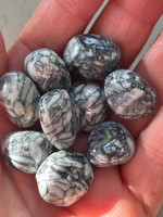 Pinolith tumbles (1114631)