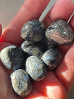 Que Sera tumbles (1114632)