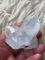 Apophyllite (1114748)