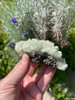 Image 2 Image 2