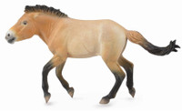 Collecta Horse Przewalski Stallion 88602