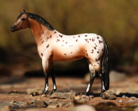Breyer Horses Pony of the Americas Appaloosa Ideal Series Traditional 1:9 Scale 1883