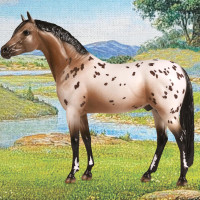 Breyer Horses Pony of the Americas Appaloosa Ideal Series Traditional 1:9 Scale 1883