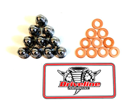 Acorn nut and copper washer kit.