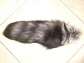 Silver fox tail without tip
