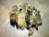 Lot of xlarge 50 tanned Coyote fur tails, taxidermy. NR