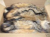 Lot of 50 Natural American Gray  Fox Fur tails12''-15''