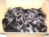 Lot of 50 Dyed Black  Fox Fur  faces.