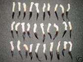 Lot of 30 Tanned  Ermine  Fur  tails