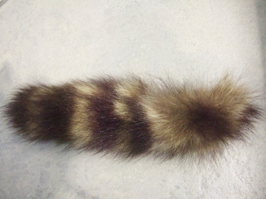 Bleach Blonde Raccoon tail xlarge 9''-11'' - FURTAILS