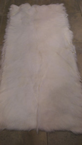 Bleached White Short Hair Goat Plate