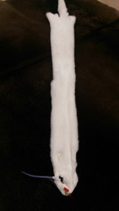 White Mink Fur Skin - Female