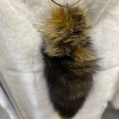 Dyed Apricot Silver Fox Tail