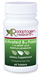 Activated B12 Folate Adaptogen Research
Folic Acid
