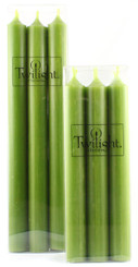 10" Olive Green Dinner Candle | Six Pack