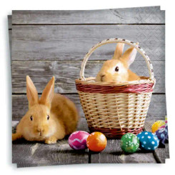 Bunny In The Basket Luncheon Napkin