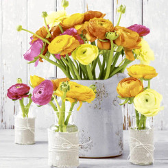 Ranunculus Luncheon Napkin