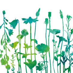 Botanical Luncheon Napkin