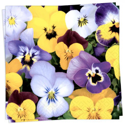 Pansies Luncheon Napkin