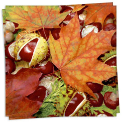 Chestnut Leaves Cocktail Napkin