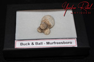 Original Civil War “Buck & Ball”, dug a few months ago at Murfreesboro (SOLD)