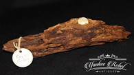 Original section of a “Bullet in Wood”, dug Ft. Fisher, NC Battlefield  (SOLD,M)       