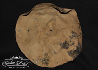Half of a Copper Canteen used as an eating plate, dug Virginia                   
