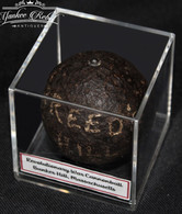 Revolutionary War 2-pounder Cannonball, recovered at Breed’s Hill, MA  (SOLD)