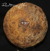 Revolutionary War 12-pounder cannonball, recovered by Frank Kravic at Fort Ticonderoga, NY  (SOLD)   