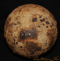 Revolutionary War 12-pounder cannonball, recovered by Frank J. Kravic at Fort Ticonderoga, NY            
