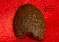 Nose section from a Parrott/Read artillery shell, recovered at Excelsior Field (Peach Orchard), Gettysburg (SOLD)