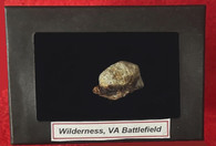 “Bullet-in-Wood” from the Wilderness, Virginia Battlefield