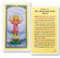 Prayer to the Beckoning Child Jesus Laminated Holy Card